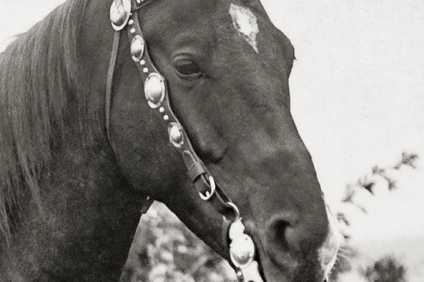 Native American Indian, Cayuse Woman on Horseback, Early 1900s, Oregon Historical Pix