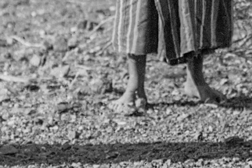 Native American Indian Women Gathering Fruit from Saguaro Cactus, 1907 Historical Pix