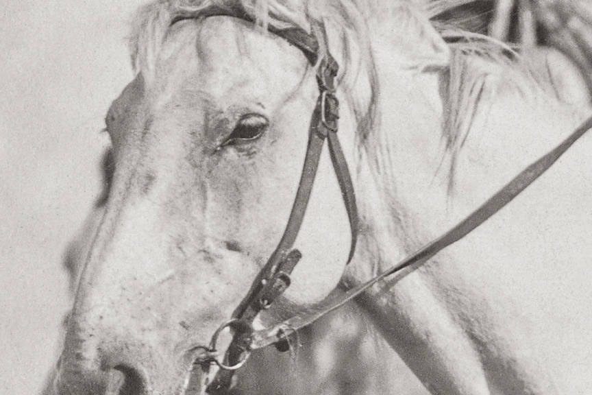 Native American Photo, Sioux Chiefs, 1905 Historical Pix