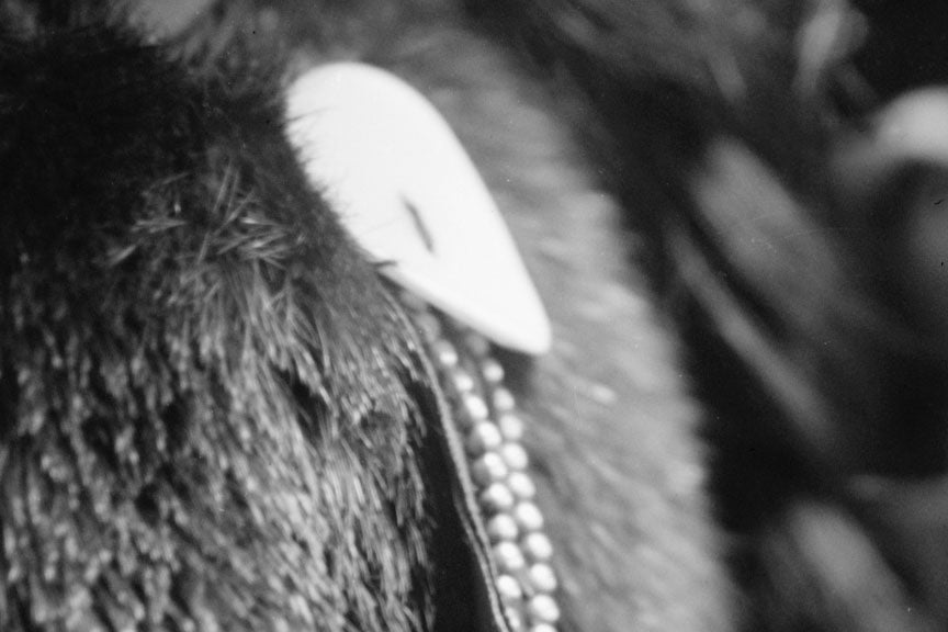 Native American Portrait &quot;Plenty Wounds&quot;, Circa 1910 Historical Pix