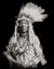 Native American Portrait of "Weasel Tail", 1900 Historical Pix