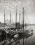 New England Fishing Schooner, Lipton Cup's First Race, 1907 Historical Pix