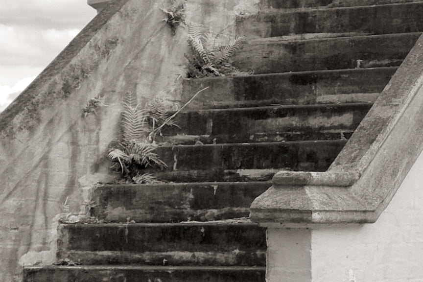 New Orleans Cemetery, City of the Dead Tombs Historical Pix