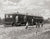 Northern Pacific, Train 1910 Photo, Alberta Canada Historical Pix