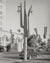 Old Phoenix Arizona Cactus Street Light, Russell Lee, 1940 Historical Pix
