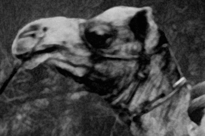 Remington Typewriter Ad, Balochistan, Pakistan Historical Pix