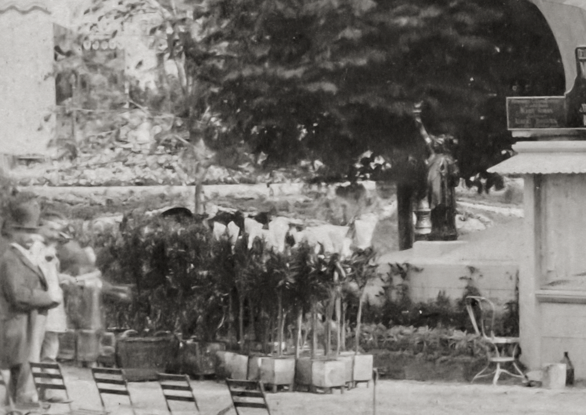 A closeup of plants to decorate the exhibit of the head.