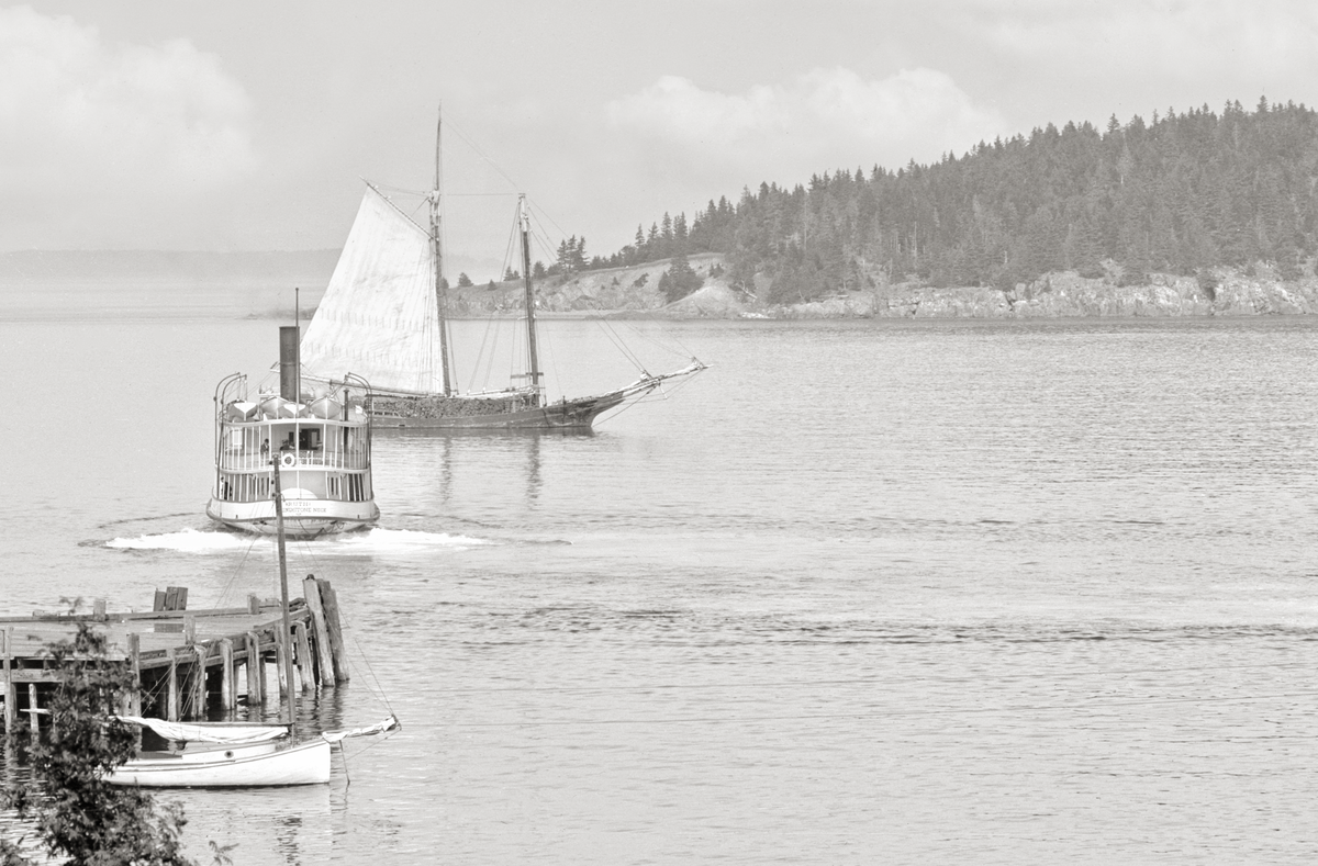 Bar Harbor, Maine, Mt. Desert Island, From Newport House, 1901