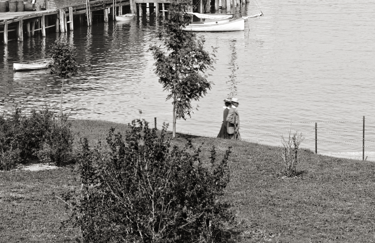 Bar Harbor, Maine, Mt. Desert Island, From Newport House, 1901