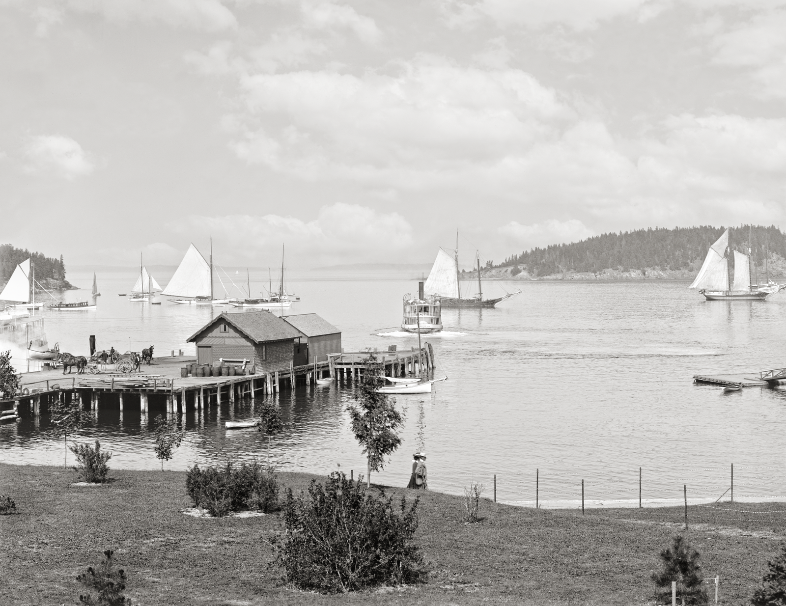 Bar Harbor, Maine, Mt. Desert Island, From Newport House, 1901