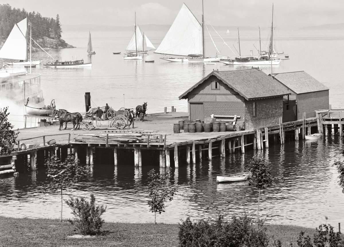 Bar Harbor, Maine, Mt. Desert Island, From Newport House, 1901