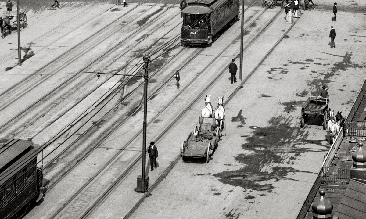 Canal Street, New Orleans, Louisiana, 1903