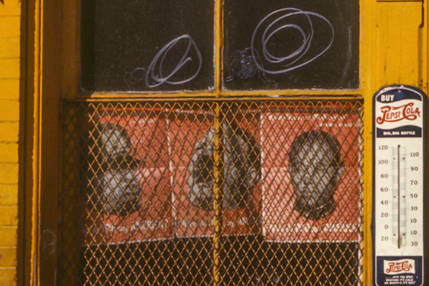 Shulman&#39;s Market, Washington DC, 1942 Historical Pix