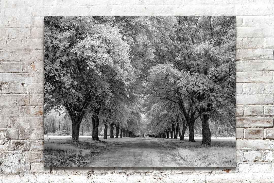 Southeast Texas, Big Thicket National Preserve Historical Pix