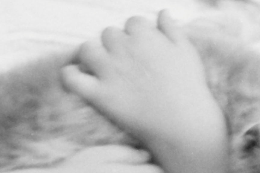 Springer Spaniel Dog, Girl and Pet Cat Historical Pix