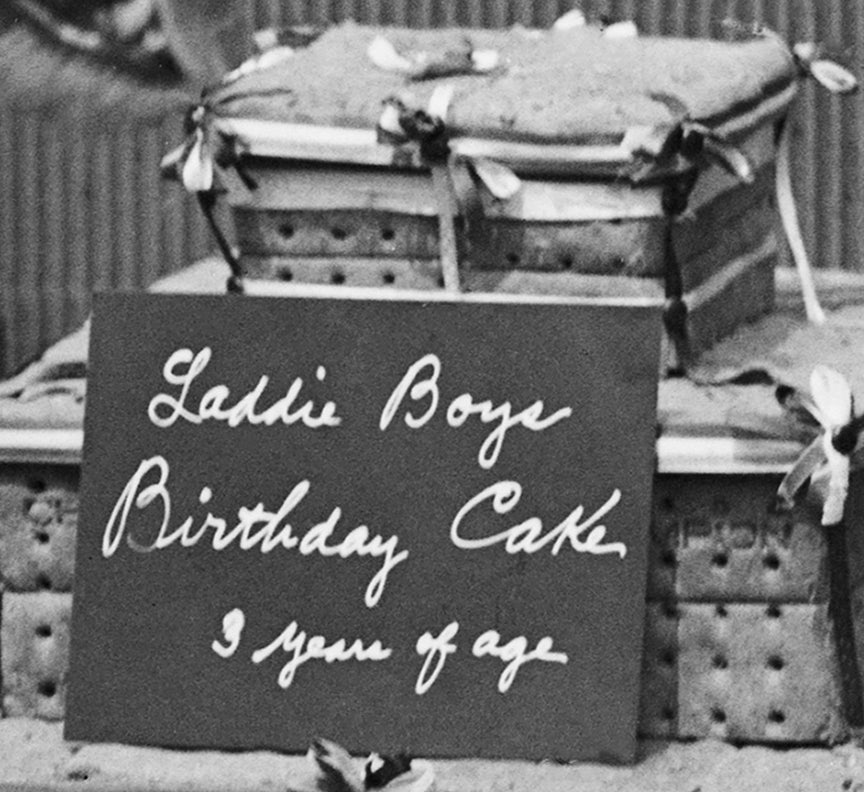 Terrier Celebrates Birthday, President Harding&#39;s Dog, 1921 Historical Pix