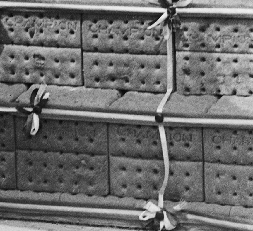 Terrier Celebrates Birthday, President Harding's Dog, 1921 Historical Pix