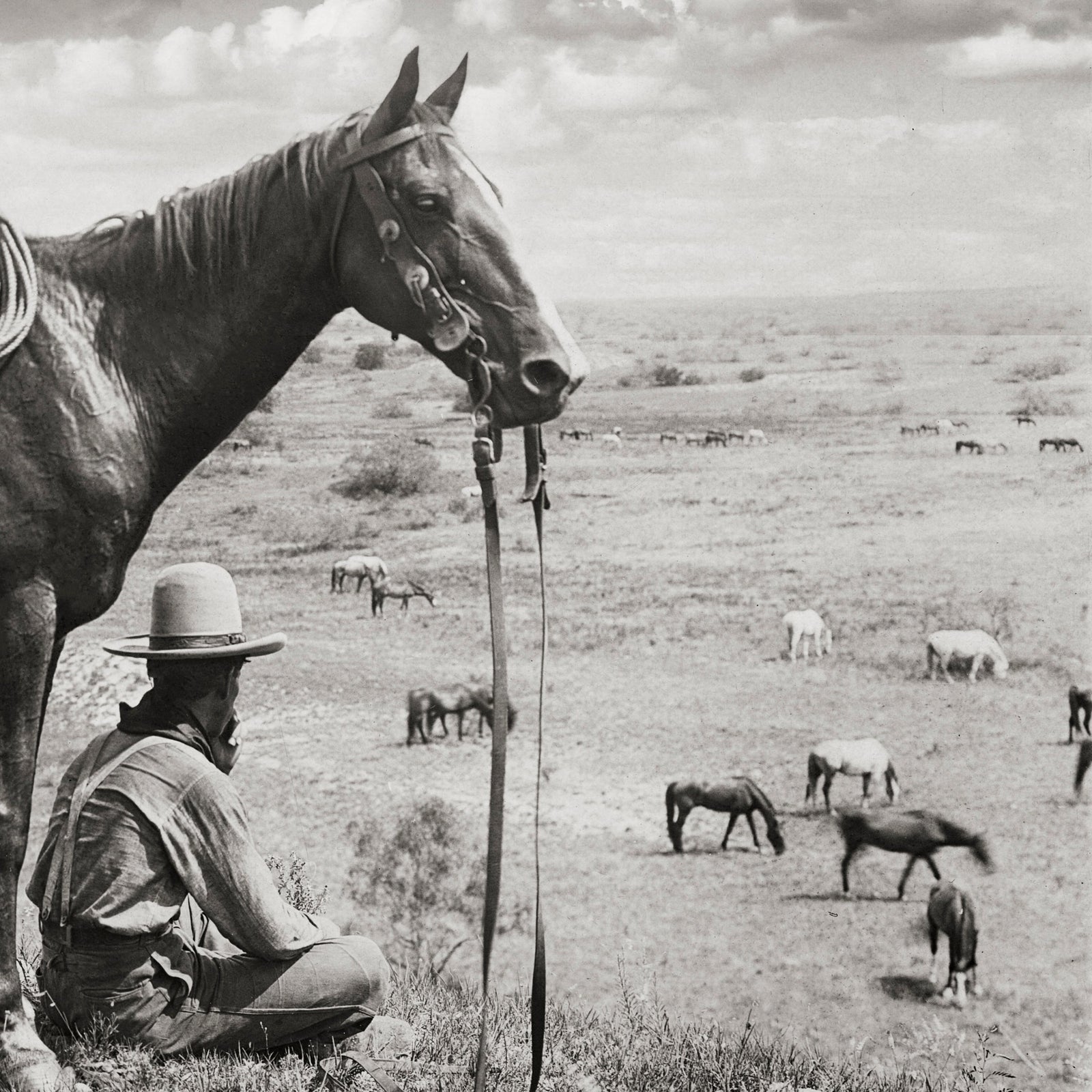 Texan Cowboy and His Horse, 1910 Historical Pix