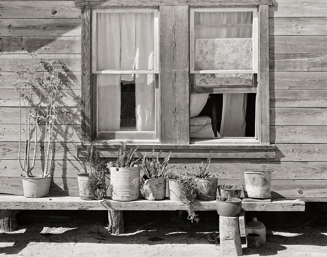 Texas Farmhouse, Linens in the Window &amp; Potted Plants, 1939 Historical Pix