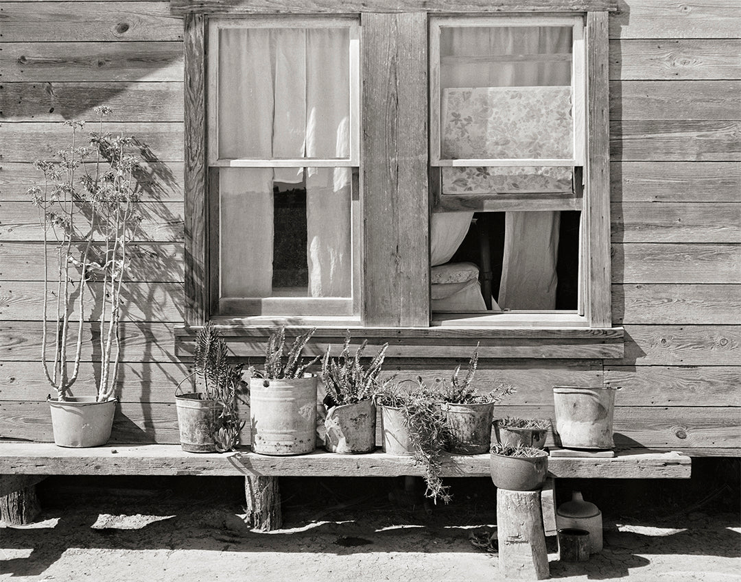 Texas Farmhouse, Linens in the Window & Potted Plants, 1939 Historical Pix