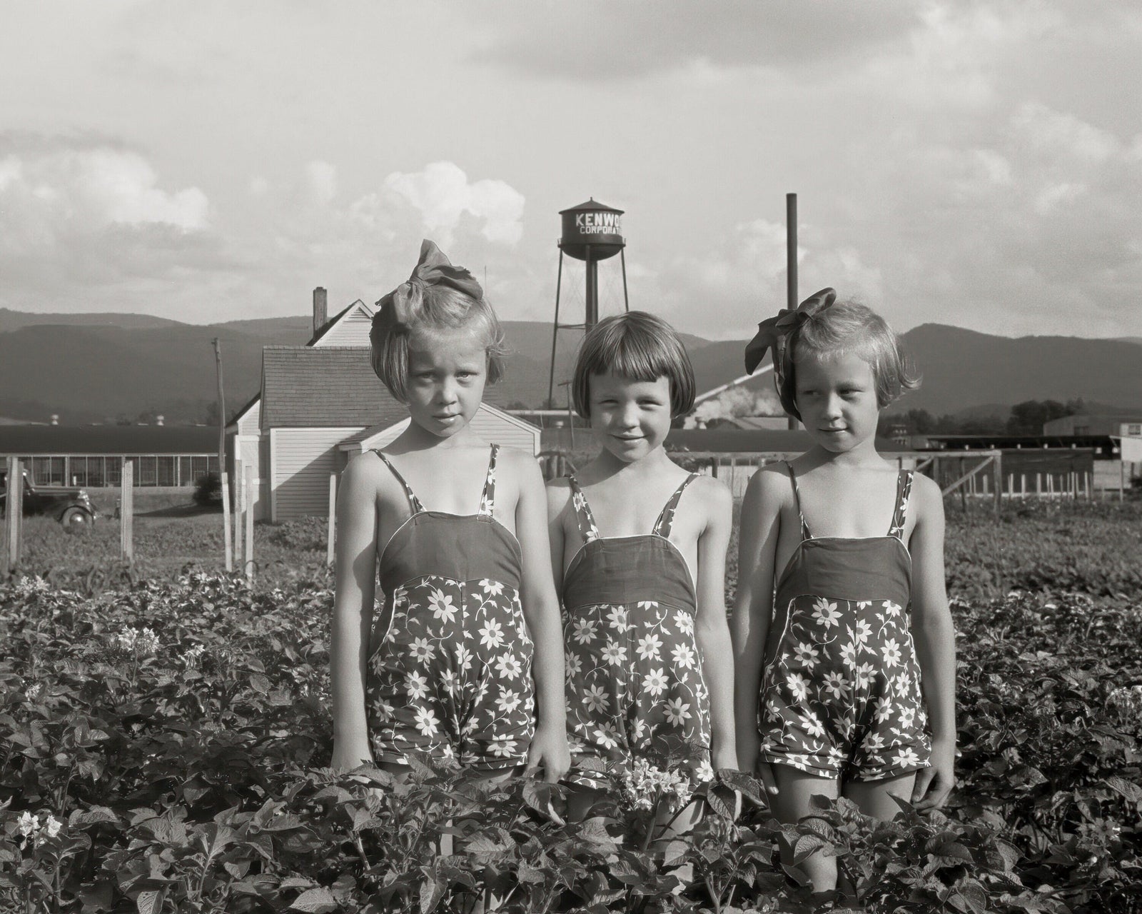 Three Farm Girls, Tygart, West Virginia, John Vachon, 1939 Historical Pix