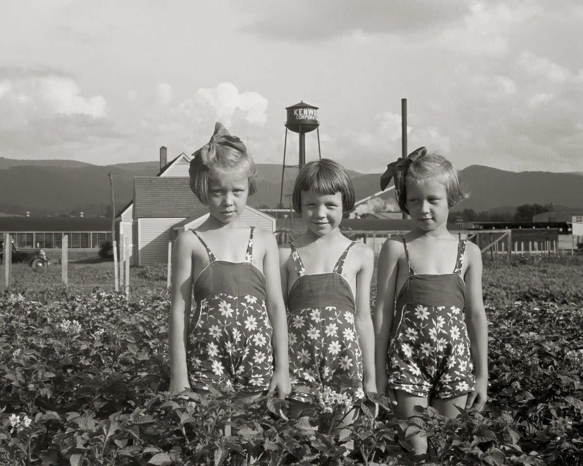 Three Farm Girls, Tygart, West Virginia, John Vachon, 1939 Historical Pix