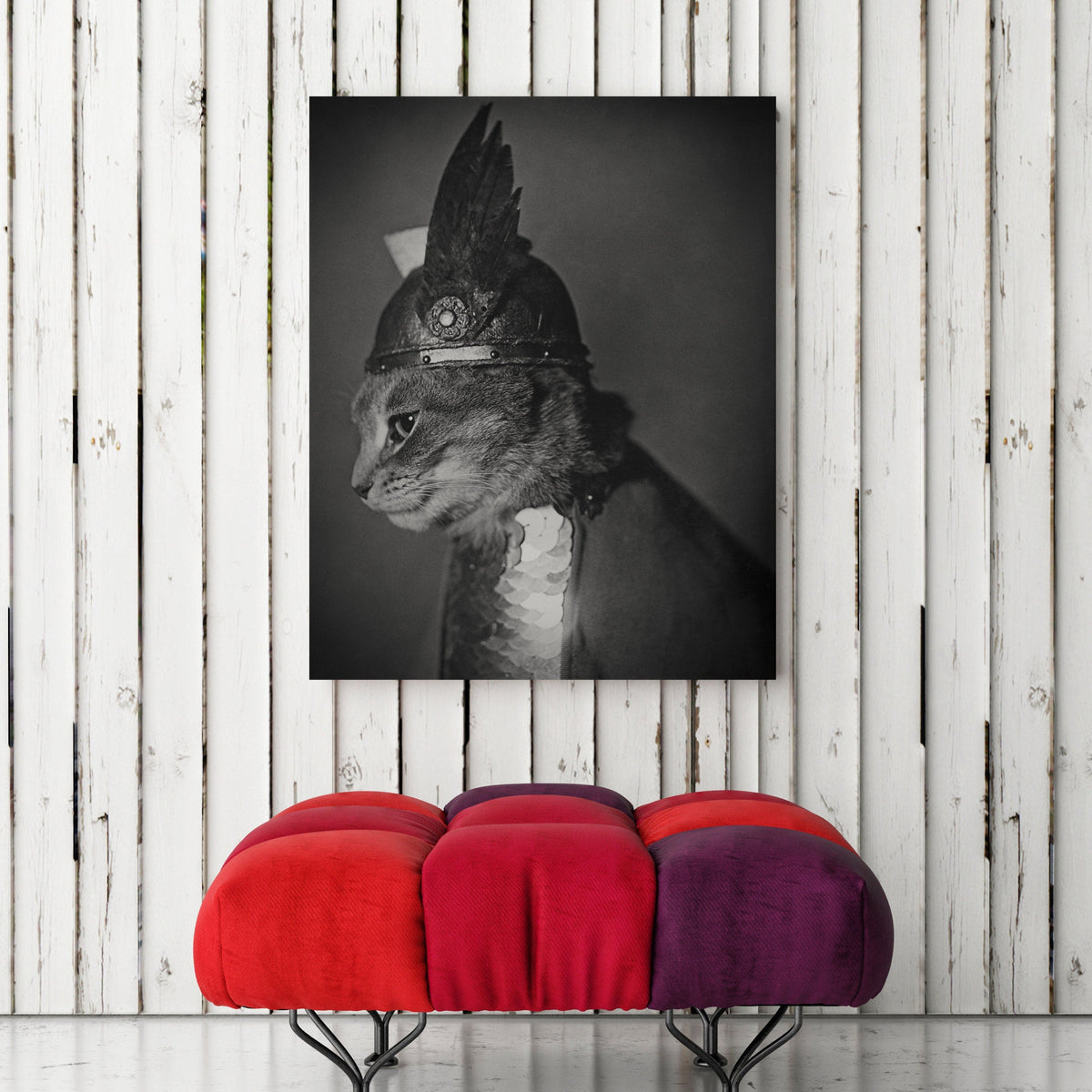 Viking Cat, Vintage Photo Historical Pix