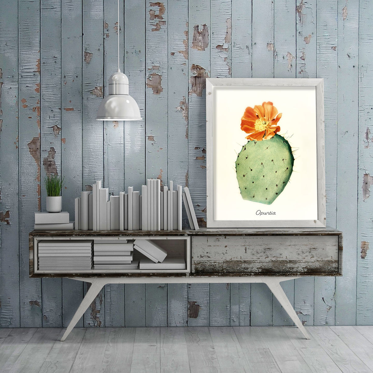 Vintage Cactus Reproduction Print Historical Pix