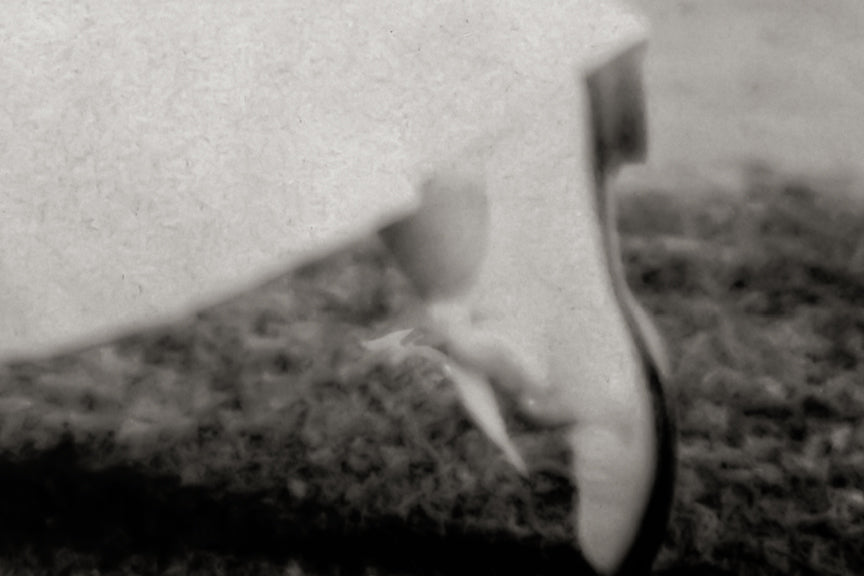 Women&#39;s Golf, Katharine Harley, US Golf Champion, 1908 Photo Historical Pix