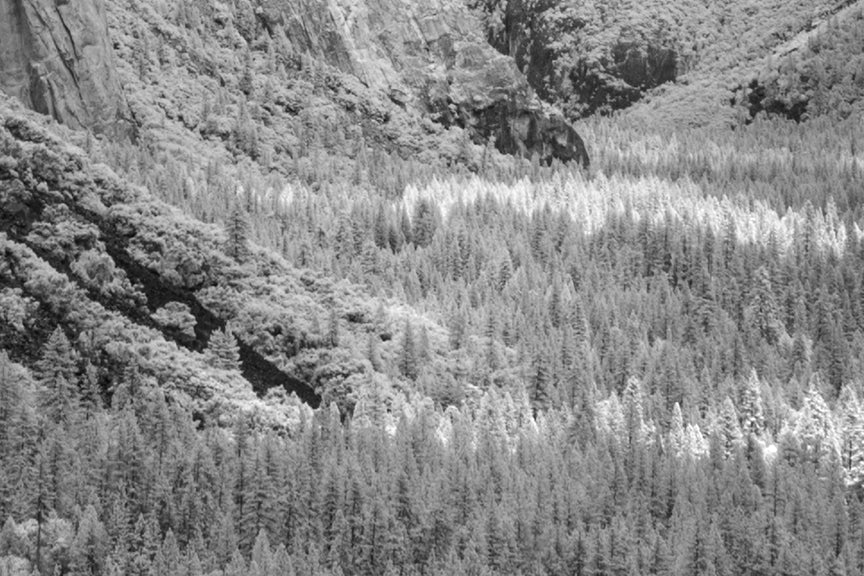 Yosemite, 2013 Historical Pix