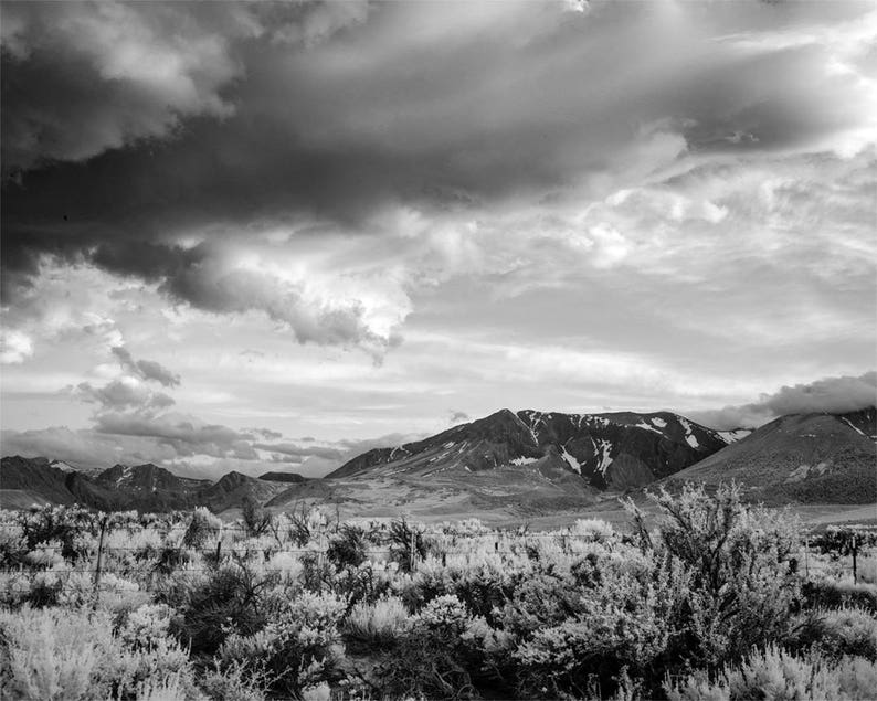 Yosemite National Park Scenic Black &amp; White Photo Collection Historical Pix