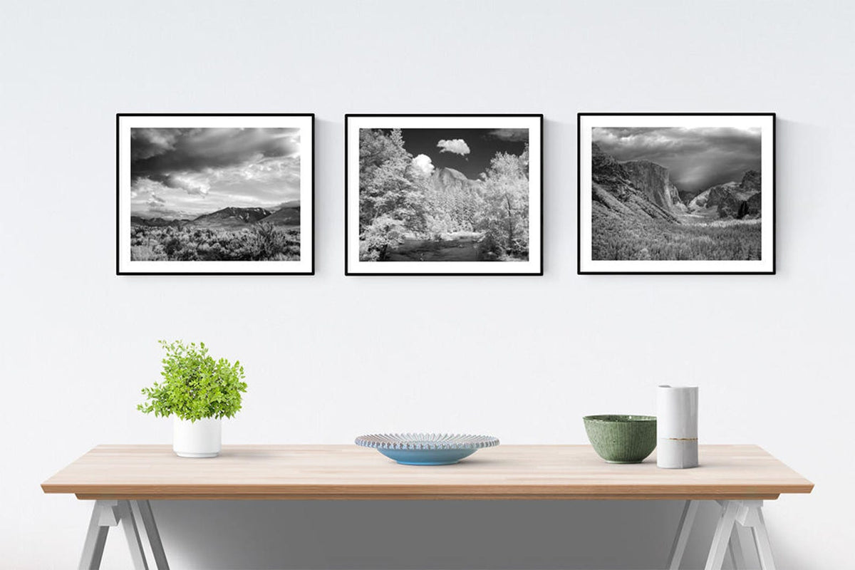 Yosemite National Park Scenic Black &amp; White Photo Collection Historical Pix