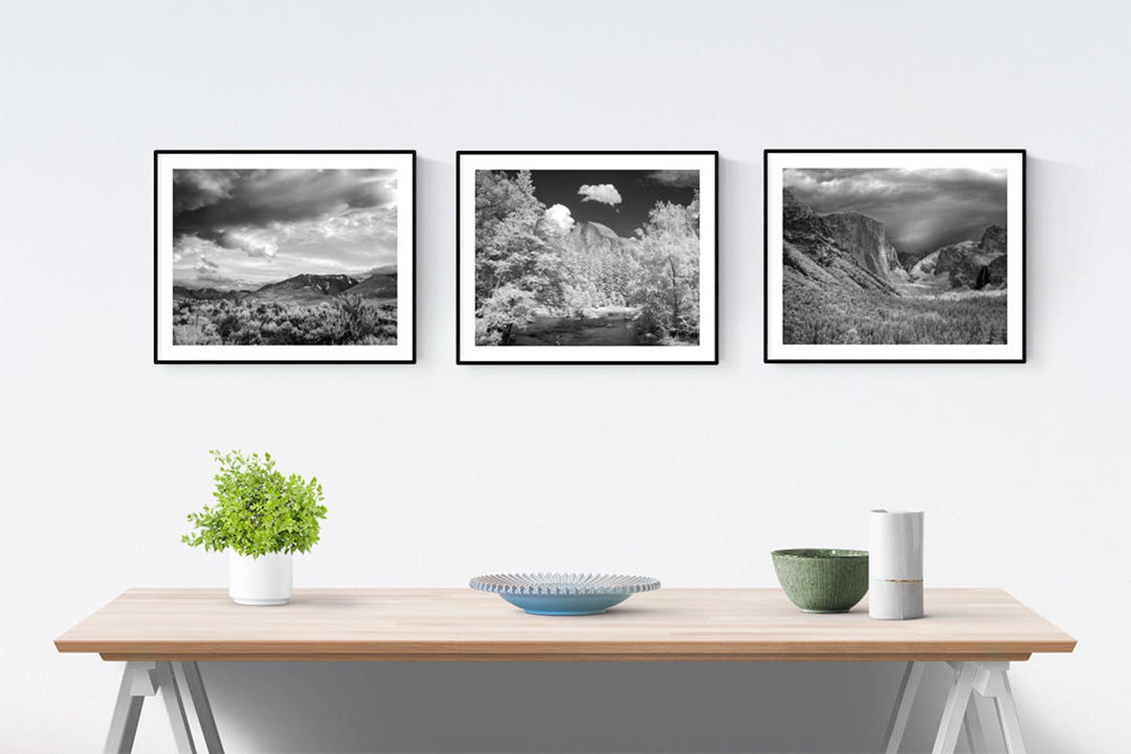 Yosemite National Park Scenic Black & White Photo Collection Historical Pix